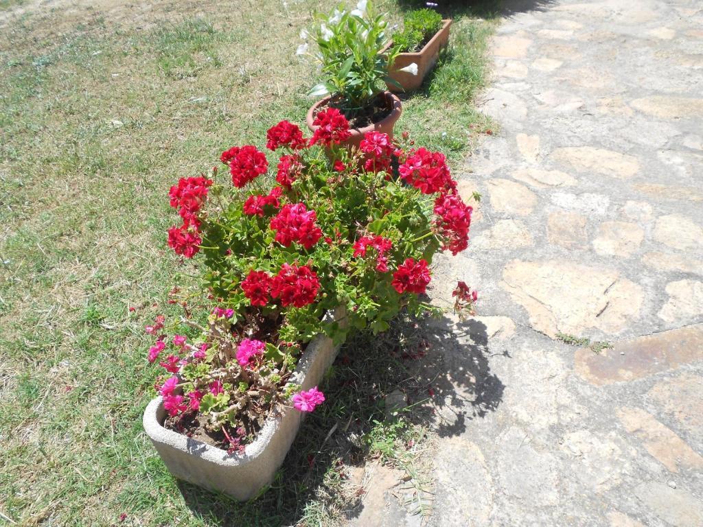 B&B L' Incantu Santa Teresa Gallura Luaran gambar